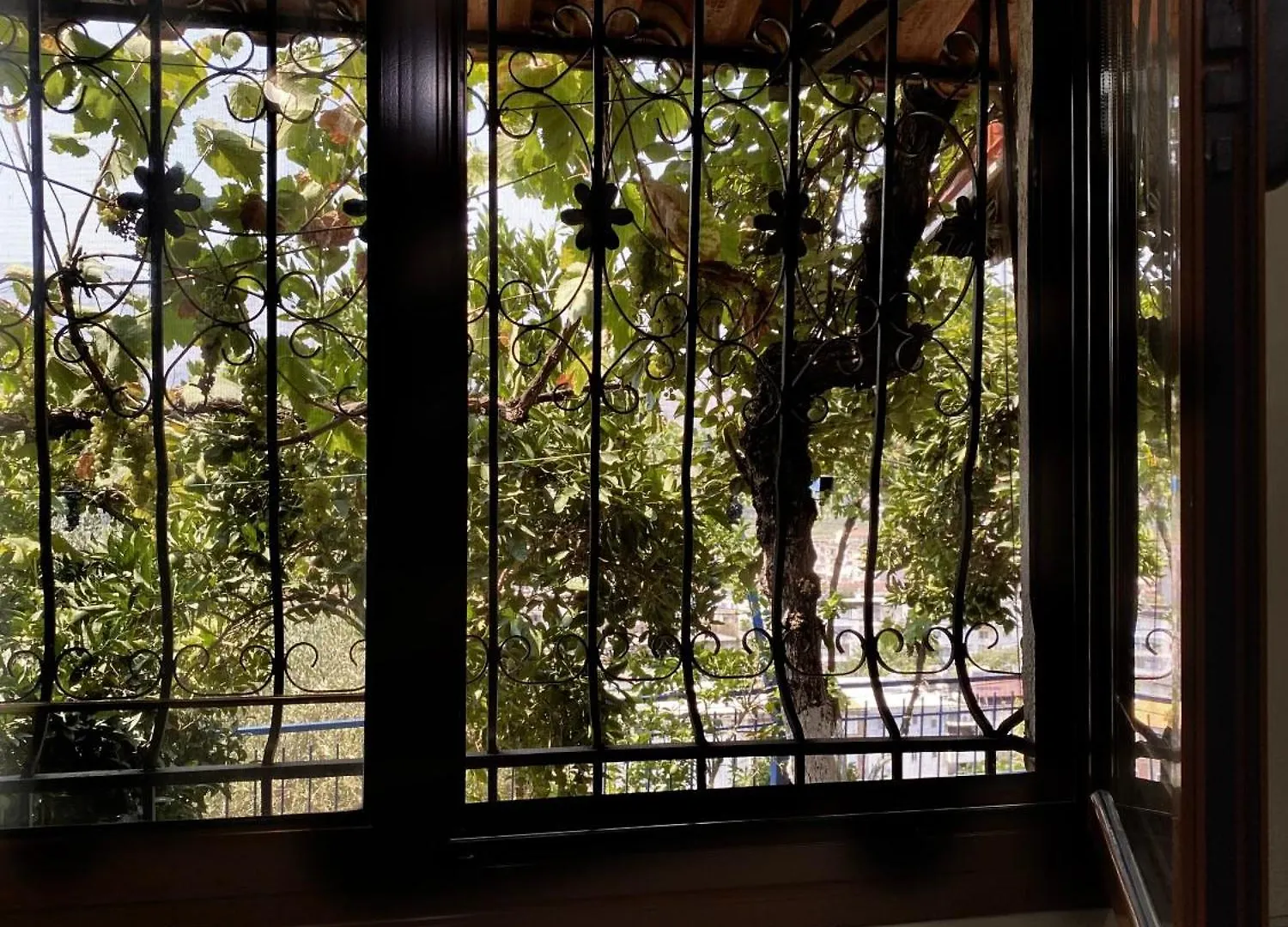 Elli'S Villa Berat Albania
