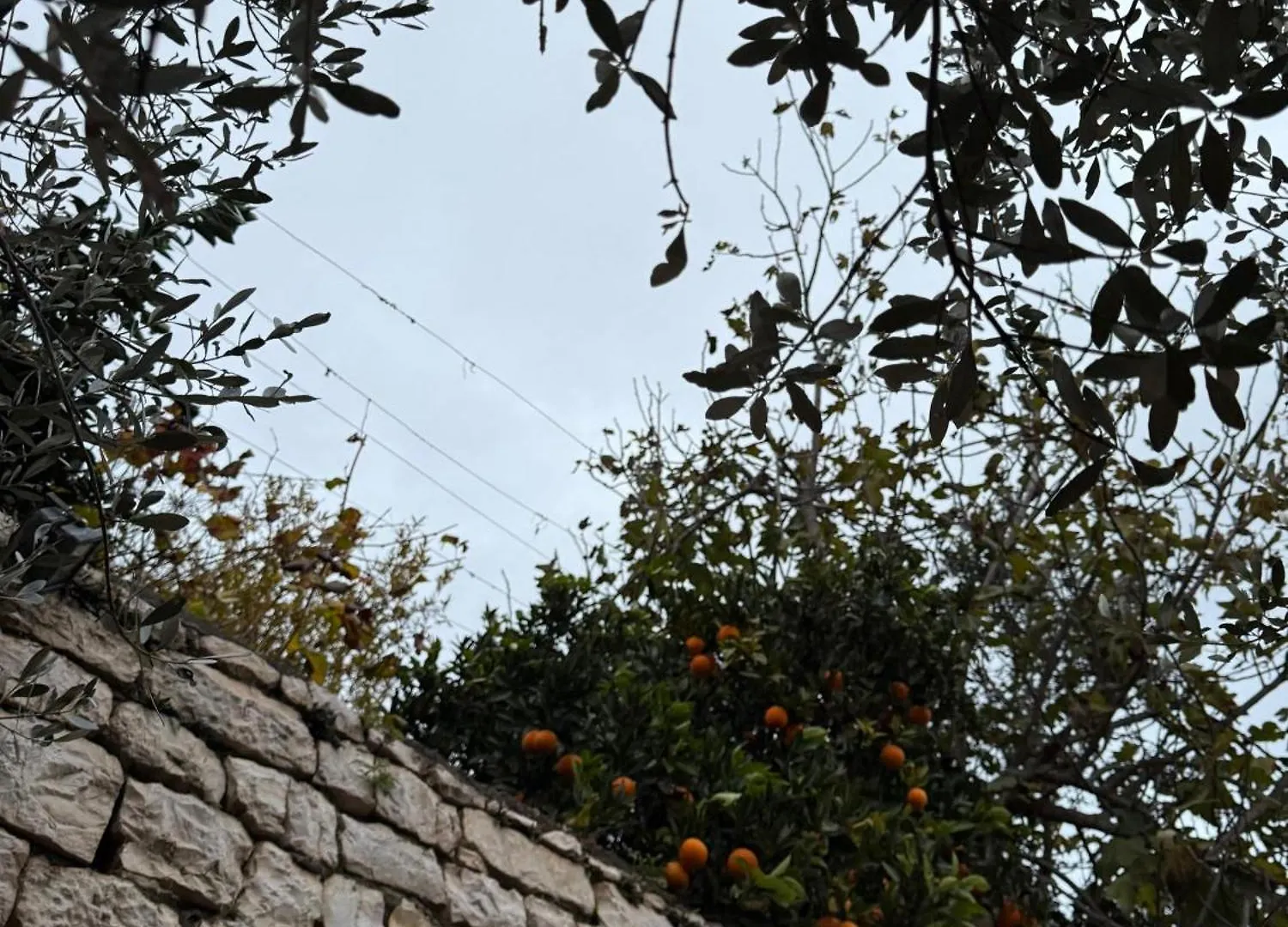 Elli'S Villa Berat Albania