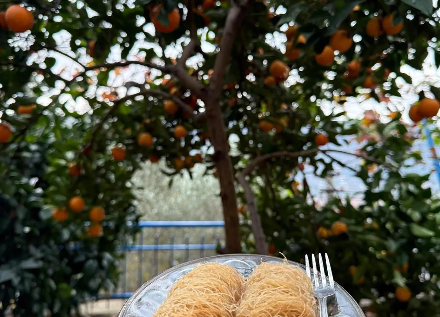 Elli'S Villa Berat 0*,  Albanien