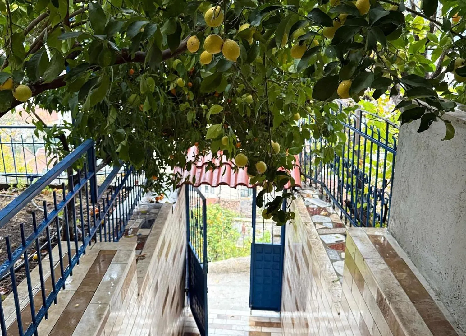 Elli'S Villa Berat